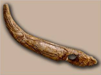 Spain Cave Tour